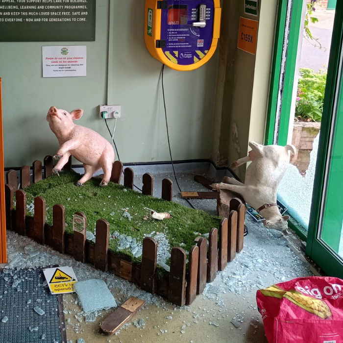 A difficult week at Windmill Hill City Farm