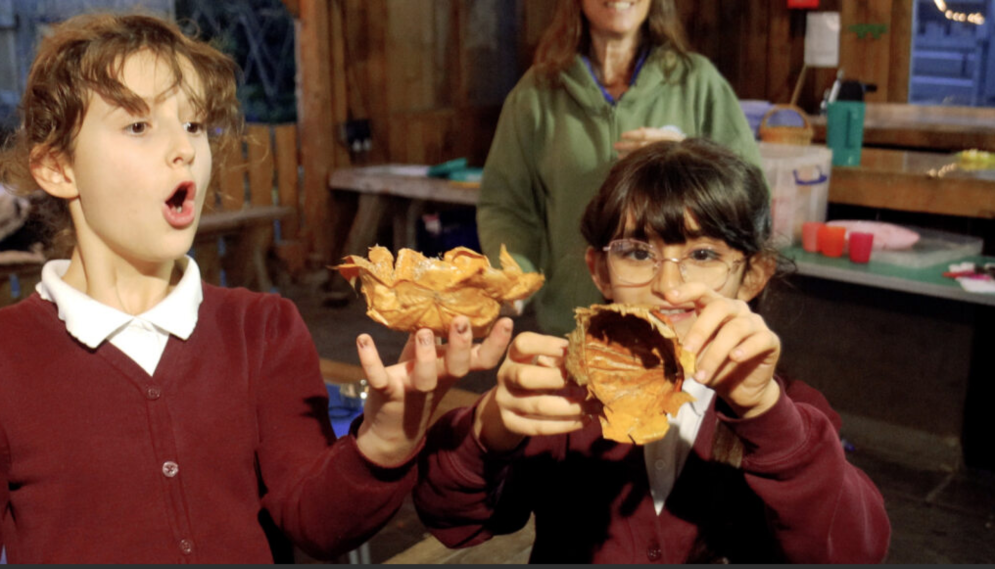 THANK YOU – We reached our Big Give Christmas Challenge goal!