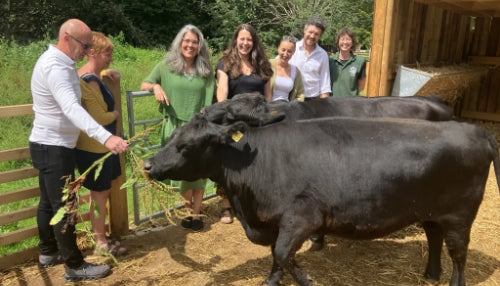 Dandara Living Supports Expansion at Windmill Hill City Farm