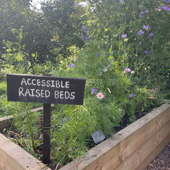 Exciting Accessibility Enhancements at windmill hill City Farm