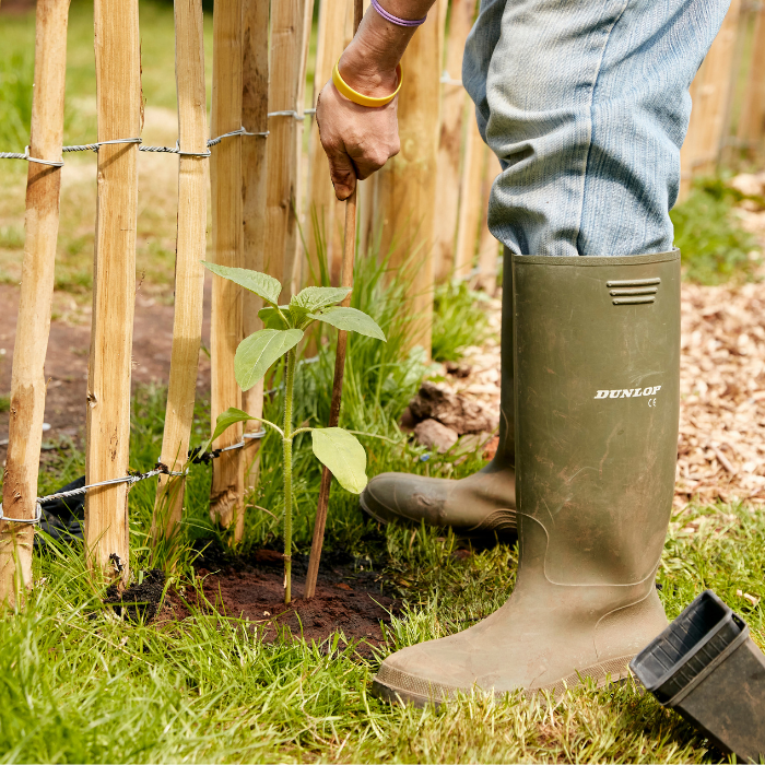 Gardening for Well-being