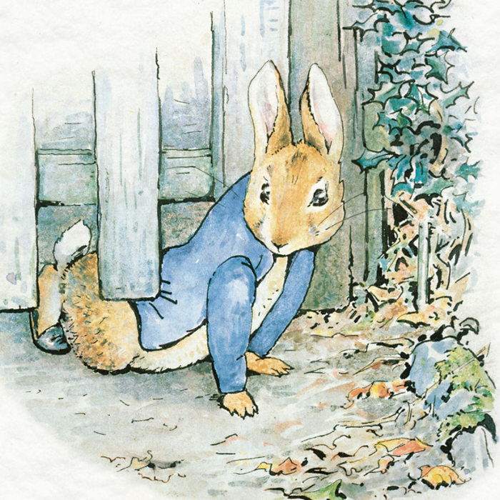 Peter Rabbit