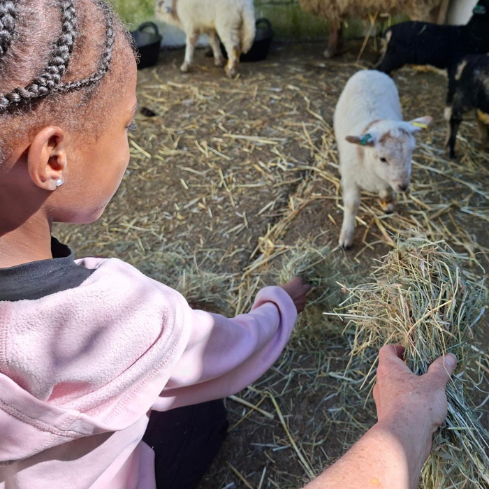After-school Farm Club