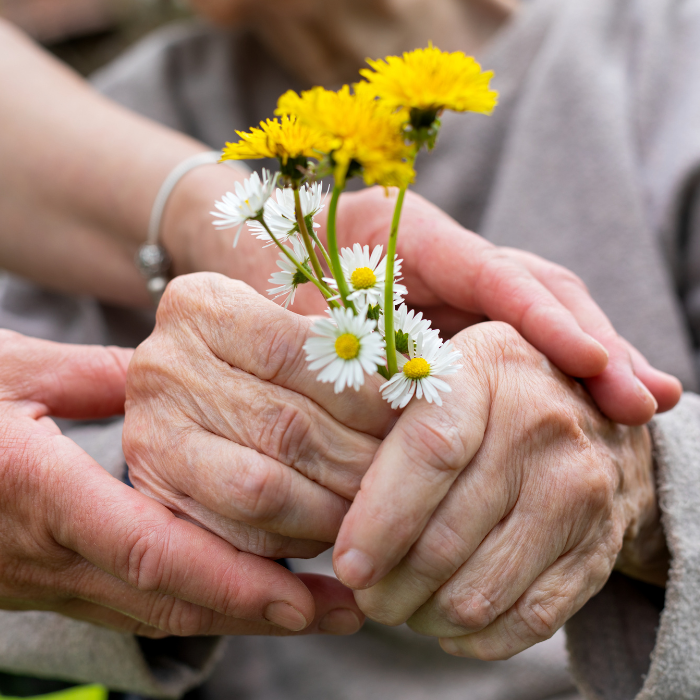 Best Life Dementia Day Care