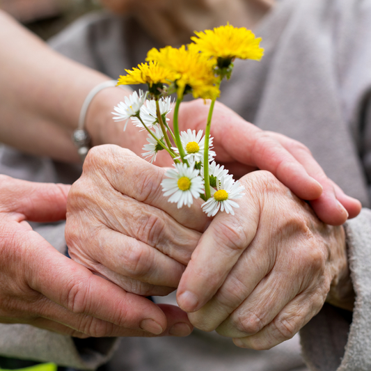 Best Life Dementia Day Care
