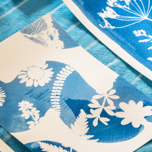 Botanical Cyanotype Workshop