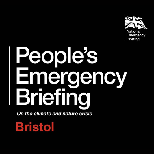 Accessibility & Environment Film Festival: People's Emergency Briefing