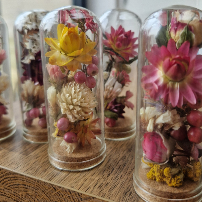 Drop-in Craft Workshop: Create Your Own Mini Bell Jar