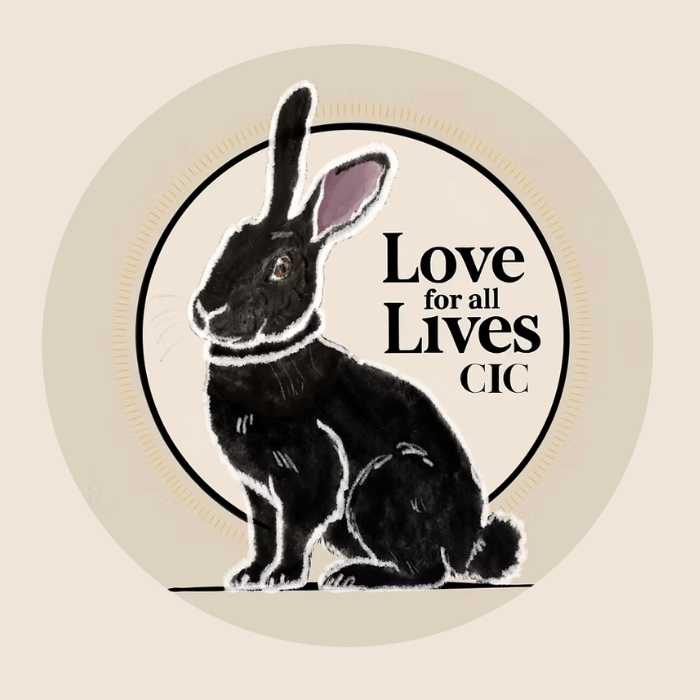 Love For All Lives: Encouraging Compassion Workshops