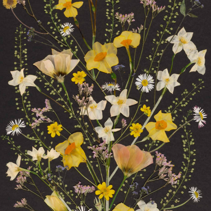 Pressed Flower Art Workshop with Barley & Mabel