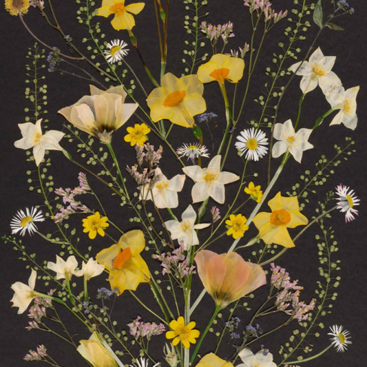 Pressed Flower Art Workshop with Barley & Mabel