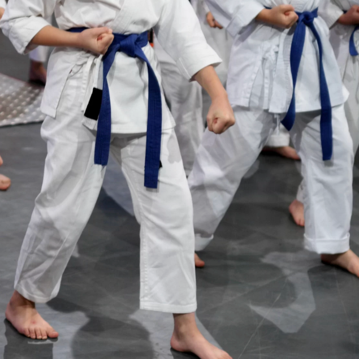 Martial Arts: Bristol Shorinji Kempo Dojo